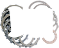 Clutch Kit 306-17-20011 for