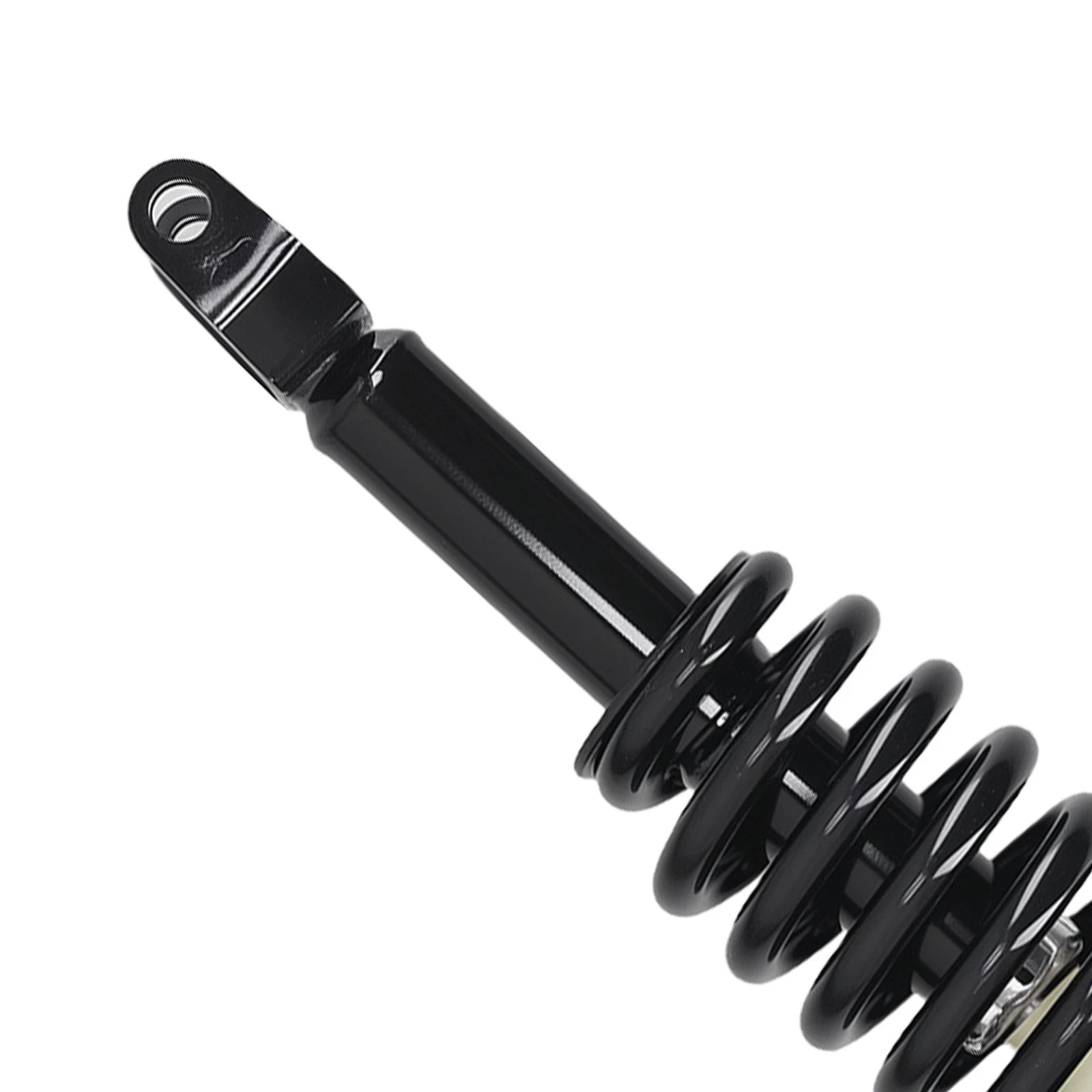 Complete Shocks Struts Coil Spring for Dodge Dakota (2005-2009) 2WD