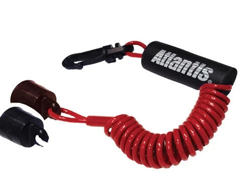 Lanyard for