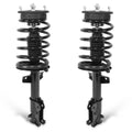Complete Front Struts Assembly w/Coil Springs for Ford Mustang (2005–2010)