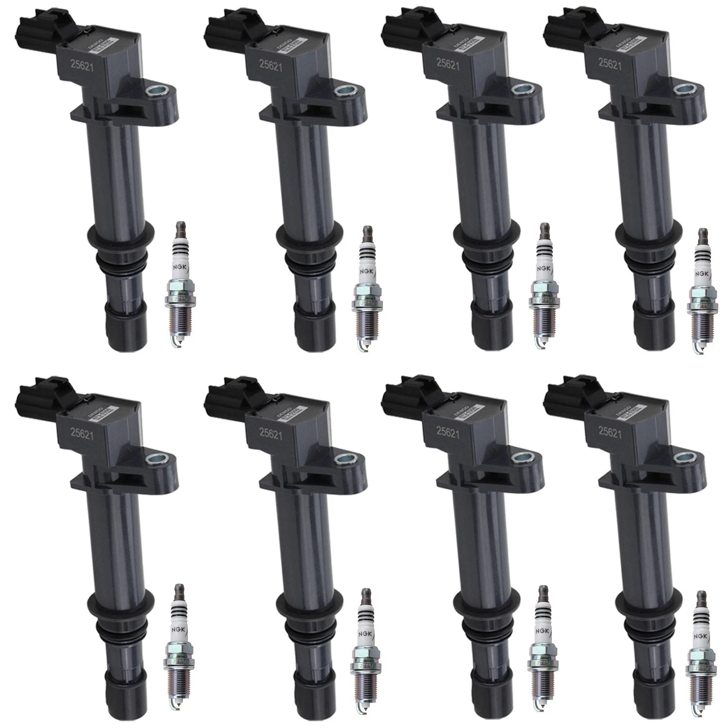 Set of 8 Ignition Coils & NGK Iridium Spark Plugs for Dakota Raider (2000–2004)