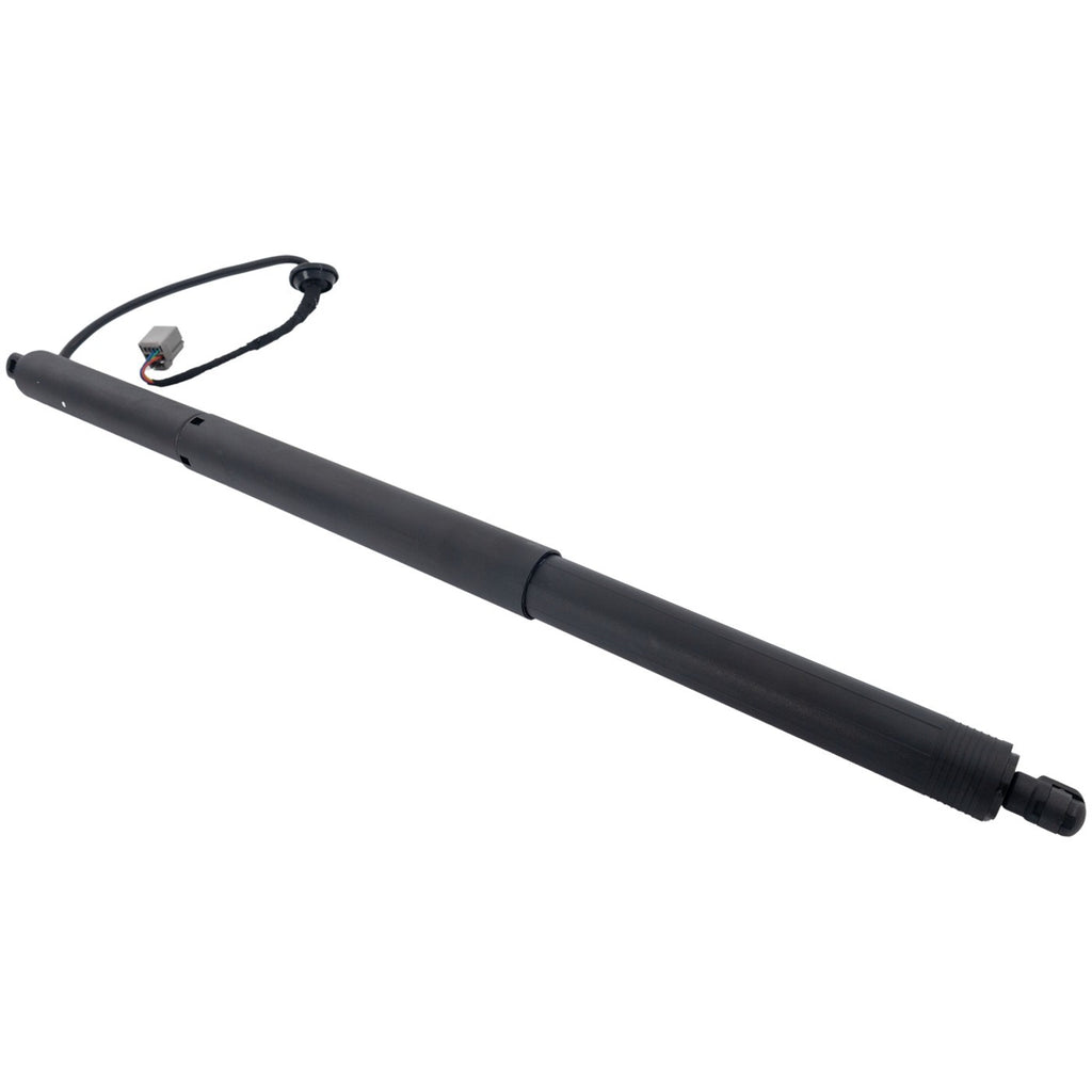 Liftgate Lift Supports for Tesla S (2012–2020)