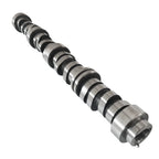 Camshaft for Chevy Silverado 1500 (2007-2013)