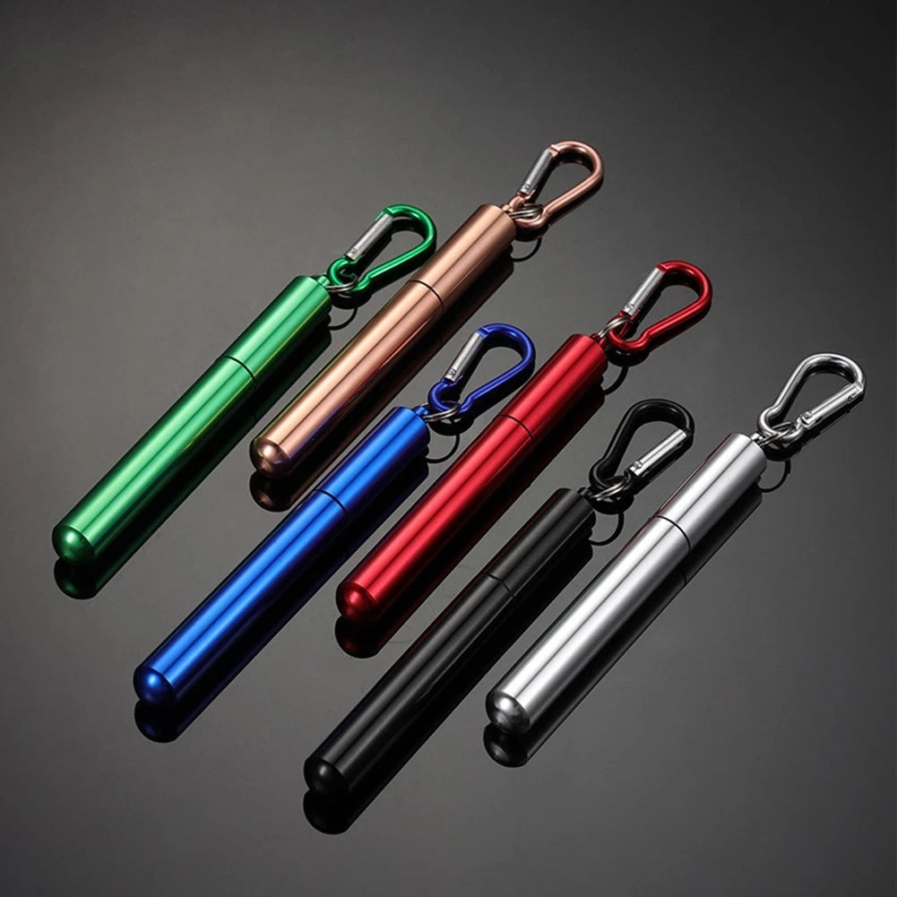 Set of 4 Stainless Steel Straws with Silicone Tip and Keychain Accessory