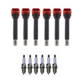 Set of 6 Ignition Coils & Spark Plugs for Audi A6 3.2 V6 (2005–2011)