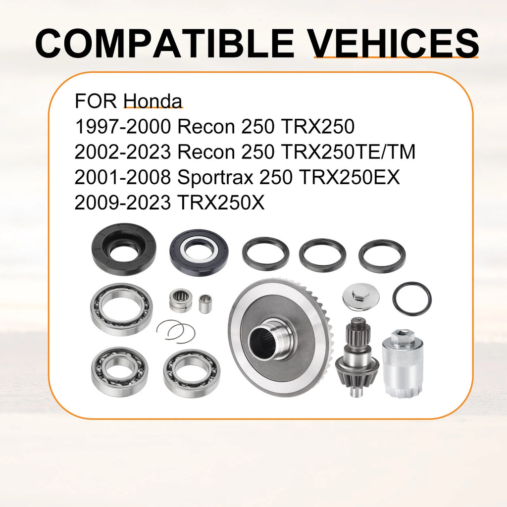 Rear Differential Ring Pinion Gear Bearings for Honda Recon 250 (2002–2023)