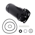 1.5HP Pool Motor for ASQ165 EUSQ1152 115/230V 48Y Frame 1-Speed Threaded (2015–2025)