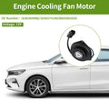 Engine Cooling Fan Motor No. 1636364080/1636374180 for Toyota RAV4 (1994–2000)