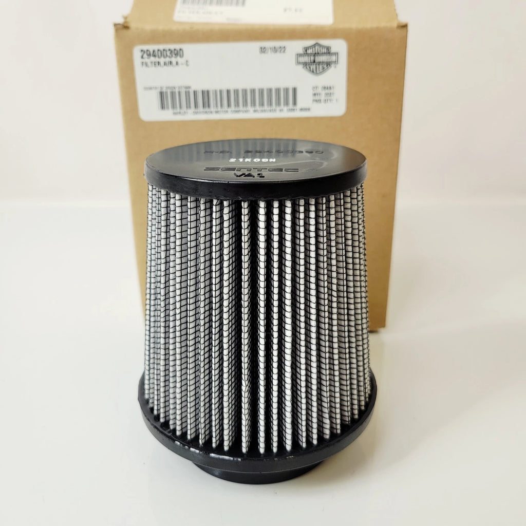 Air Filter for Harley-Davidson Pan America (2021–2024) OEM 29400390
