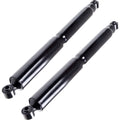 2X Rear Struts for Dodge Ram 1500 (2009–2010)