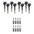 Set of 8 Ignition Coils & Denso Iridium Spark Plugs for F-150 Mustang V8 (2015–2020)