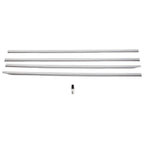 Chrome Body Side Molding Trim for Dodge Ram 1500 (2019–2025)