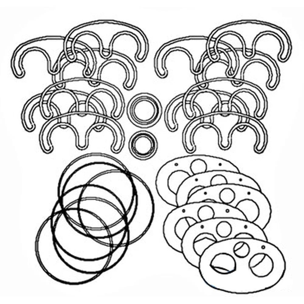 Hydraulic Pump Repair Kit for 190 190XT (Fits 24B006)