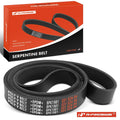 Serpentine Belt for Sterling Truck Acterra (2003–2004)