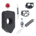 Gasket Governor Springs for Lawn Mower (691859/692211)