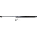Lift Support for Lexus LS400 (1998–2000) Driver and Passenger Side