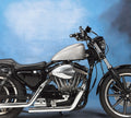 2.9 Gallon Gas Tank for Harley Sportster (2014–2023) 011483-BX34