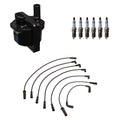 Set of 6 Denso Ignition Coil Wires & Bosch Platinum Spark Plugs for Astro Hombre (1992–1998)