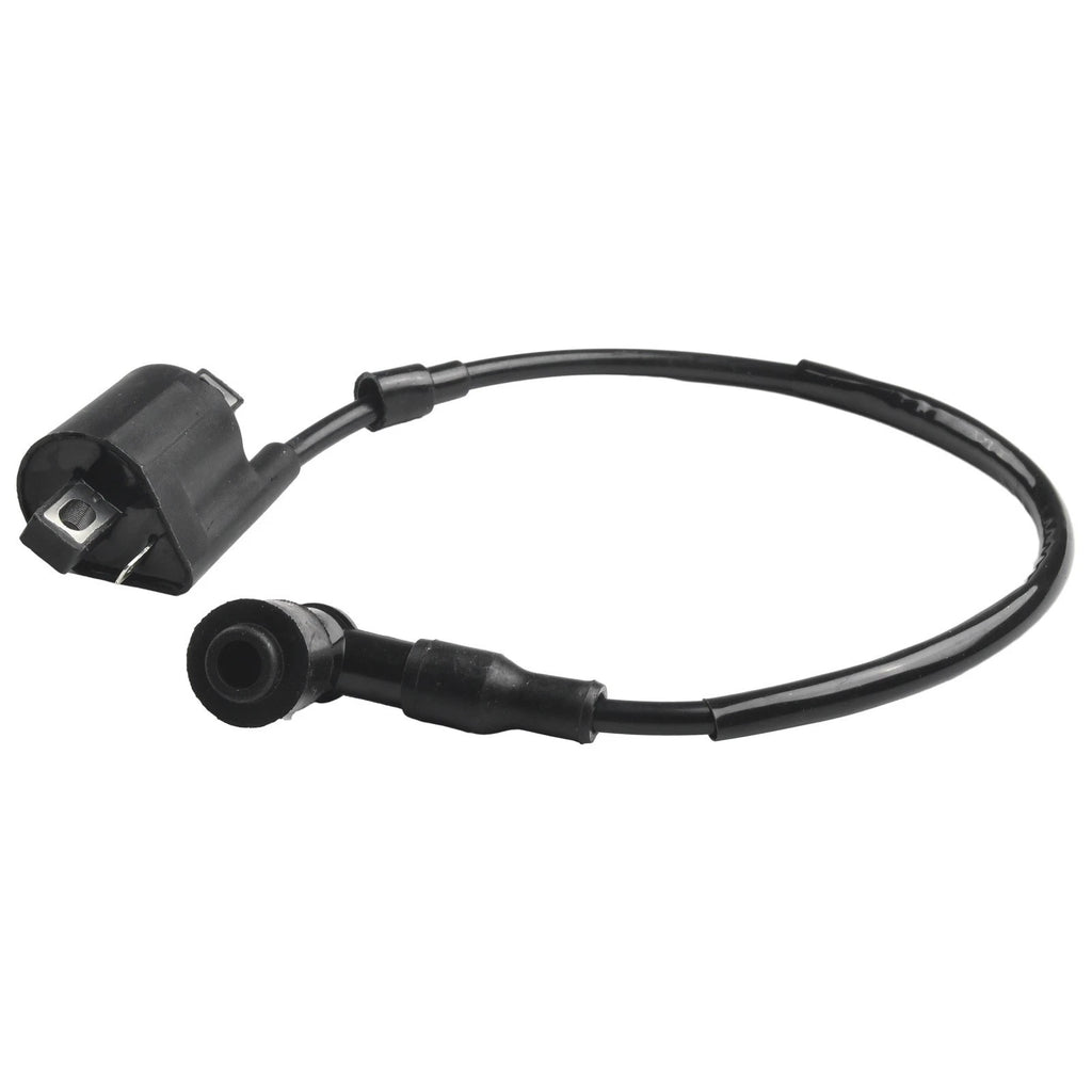 Ignition Coil for ATVs Scooters 50cc 70cc 110cc 125cc 150cc 200cc 250cc
