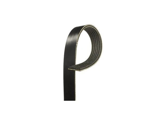 Air Conditioning Multi Rib Belt for Jaguar Vanden Plas (1995–1997) TX421GB