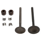 65mm Valve Set Inlet & Exhaust for GY6 125cc 157QMJ (Jonway Roketa Baja Sunl)