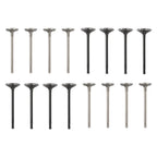 16pcs Engine Valves for GM ECOTEC 2.0 2.2 2.4 (2000-2010)