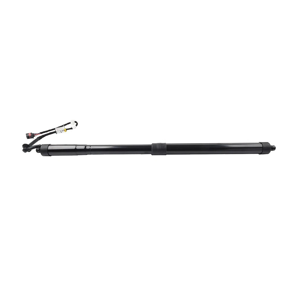 Trunk Tailgate Lift Support for Land Rover Range Rover Sport (2005–2013)