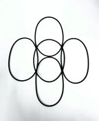 Set of 5 O-Rings for MAN (06.56939-0130, 185X5N-FKM2-80)