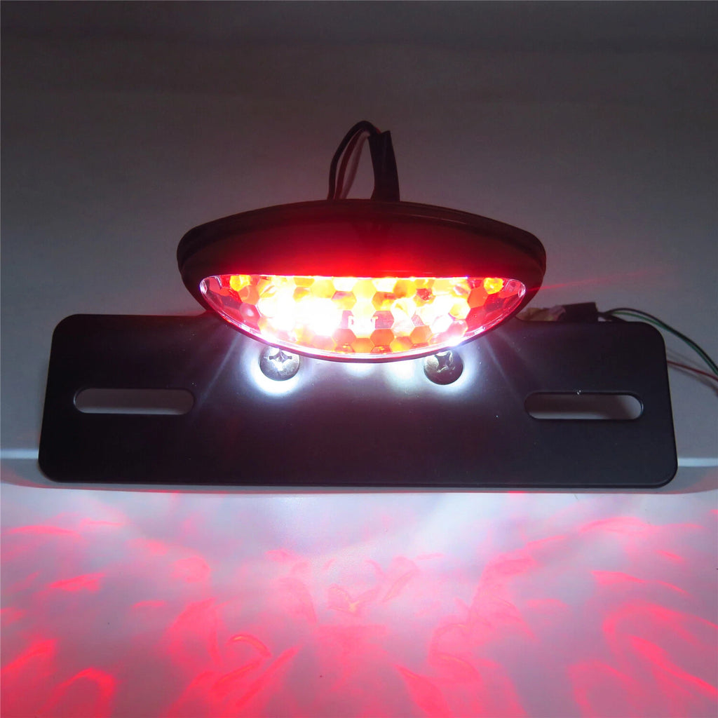 Custom Motorcycle Brake License Plate Tail Light with Turn Signal for