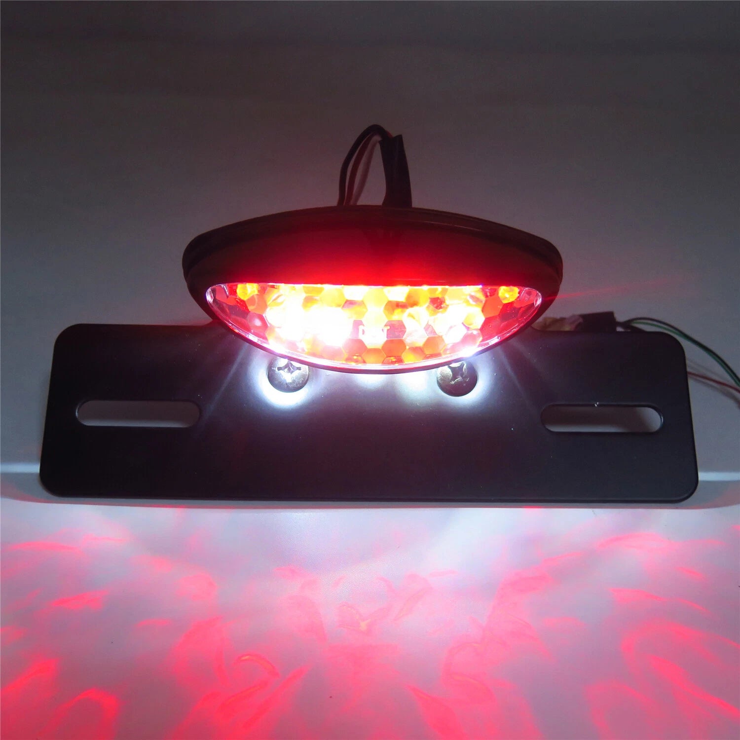 Custom Motorcycle Brake License Plate Tail Light with Turn Signal for