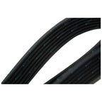 Genuine Engine Drive Belt ZD30 Patrol GU Y61 Navara D22 Ute 4cyl Diesel 3.0L Fan