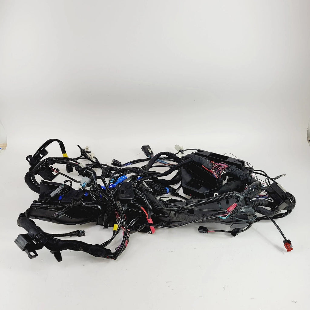 Main Wiring Harness Loom for Harley-Davidson Tri Glide ABS FLHTCUTG (2021–2024)