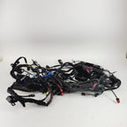 Main Wiring Harness Loom for Harley-Davidson Tri Glide ABS FLHTCUTG (2021–2024)
