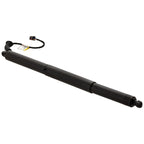 Liftgate Lift Supports for Audi Q5 (2018–2023)