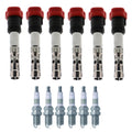 Set of 6 Ignition Coils & Spark Plugs for NSX A4 A6 E36 XJ6 V6 L6