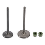 Engine Head Intake Exhaust Valves Seals for Honda CG250cc