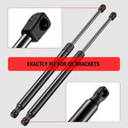 Rear Hatch Struts Liftgate Support for Nissan Xterra (2005-2013)