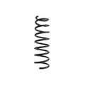 Lesjofors Rear Coil Spring for BMW (4208449)
