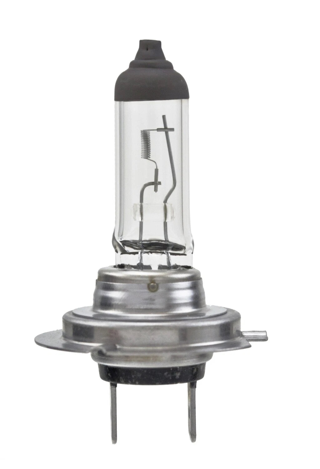 Hella Fog Light Bulb H7TB for