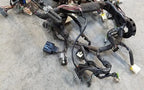 Dash Wire Harness for Ford Thunderbird (1991)