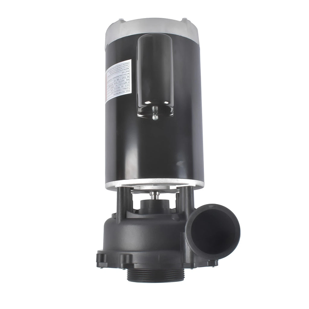 4 HP Spa Pump for Executive 56 Frame (230V, Two-Speed)