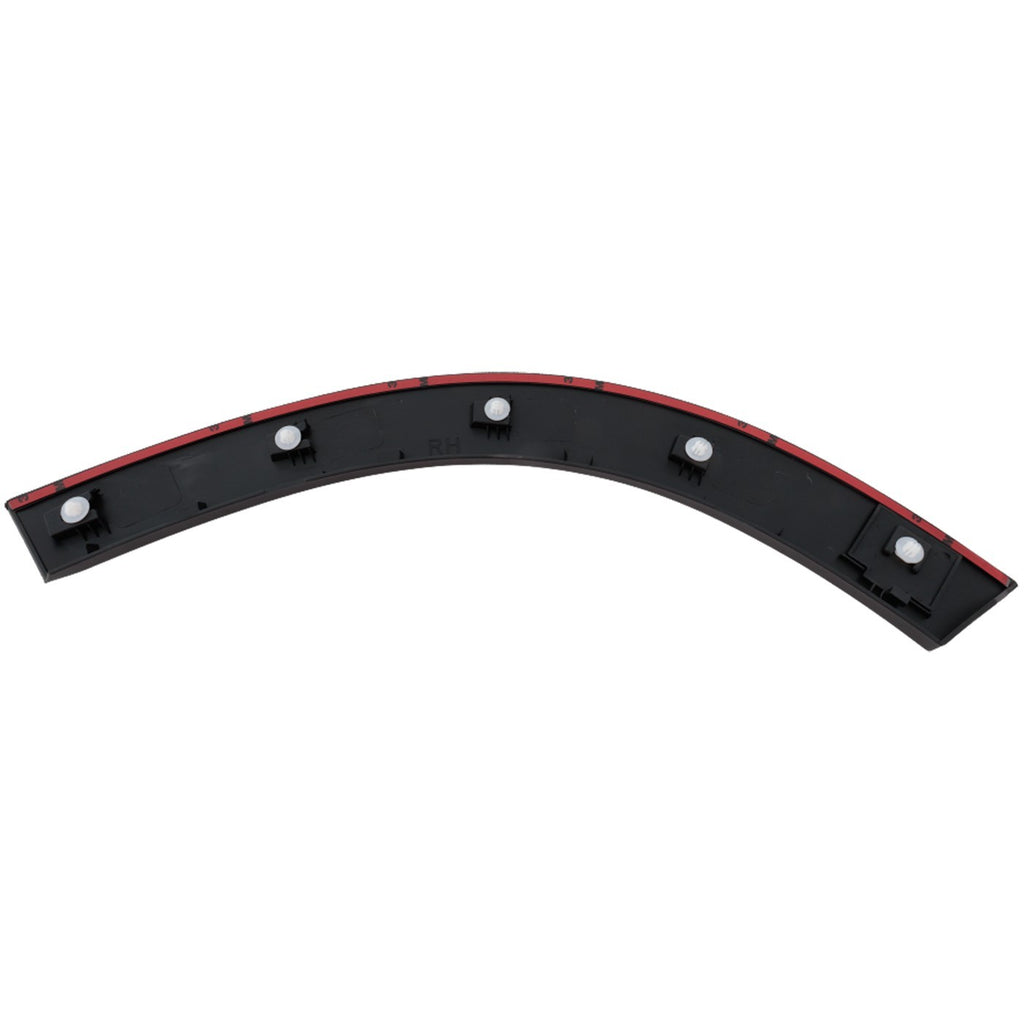 Fender Trim Molding for Honda Accord (2018–2023)