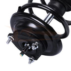 Front Complete Struts and Rear Shocks for Ford Focus (2006-2007)