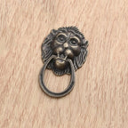 Set of 5 Antique Bronze Lion Head Door Pull Handles 28x48mm