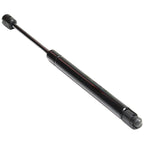 Trunk Lid Lift Supports Set of 2 for Coupe Sedan