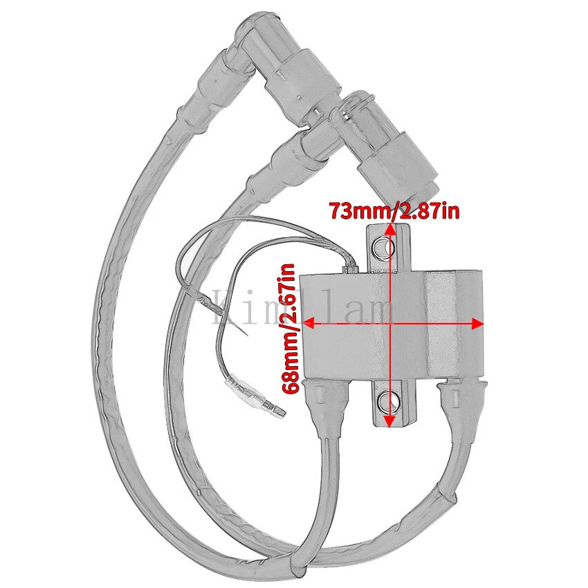 Outboard Ignition Coil for Nissan 30HP NS30A4, 25HP NS25C2 (2-Stroke) 3A0-06040-1M