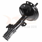 Set of 4 Shocks Struts for Lexus RX330 RX350 (2004-2007)
