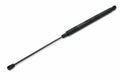 Right Hood Lift Support for Mercedes-Benz C240, C320 (2001–2005) 2038800029