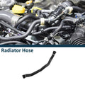 Radiator Hose for BMW 230i Base 2.0L (2022-2024)