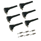 6X Ignition Coil & Spark Plug Set for Ford F-150 (2017–2019)
